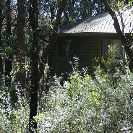 Twin Falls Bush Cottages Fitzroy Falls Εξωτερικό φωτογραφία