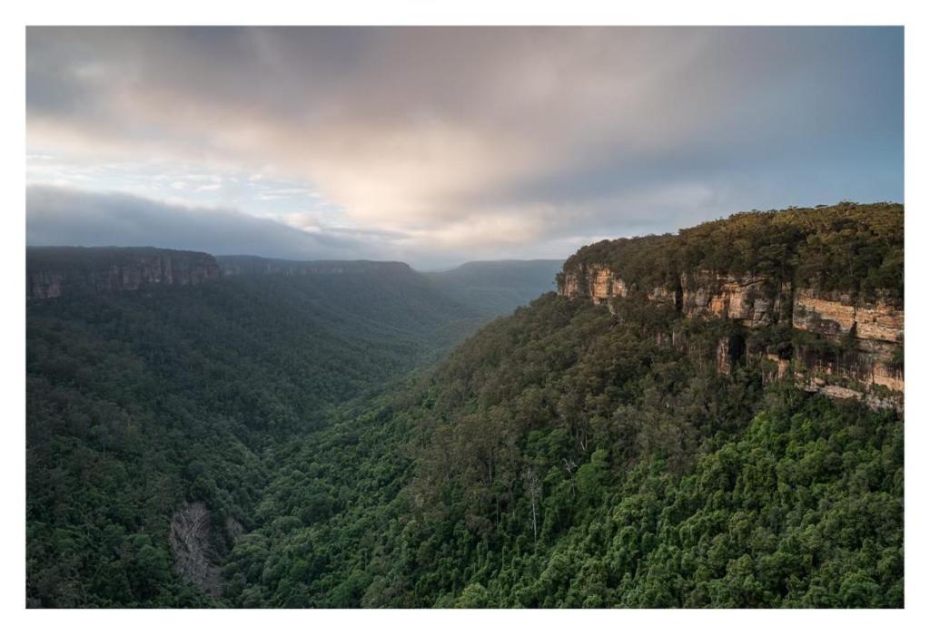 Twin Falls Bush Cottages Fitzroy Falls Εξωτερικό φωτογραφία