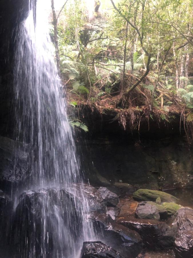 Twin Falls Bush Cottages Fitzroy Falls Εξωτερικό φωτογραφία