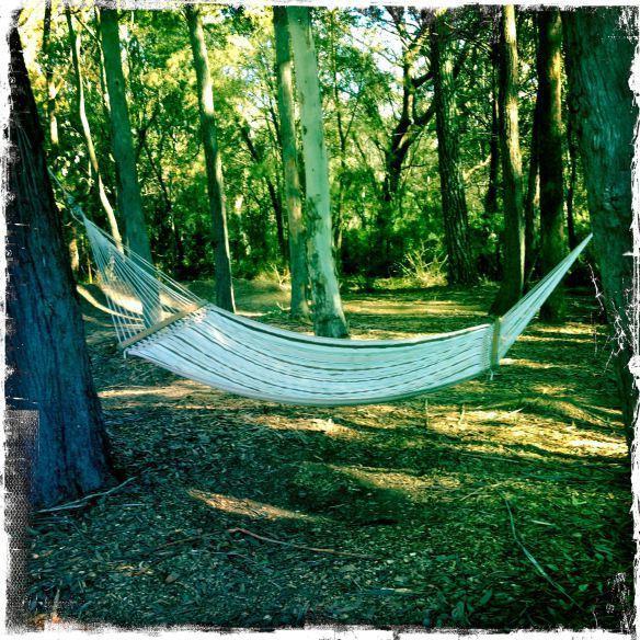 Twin Falls Bush Cottages Fitzroy Falls Δωμάτιο φωτογραφία