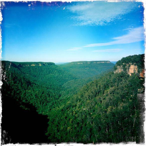 Twin Falls Bush Cottages Fitzroy Falls Δωμάτιο φωτογραφία