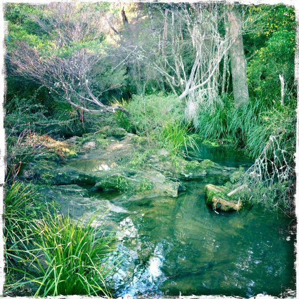 Twin Falls Bush Cottages Fitzroy Falls Δωμάτιο φωτογραφία