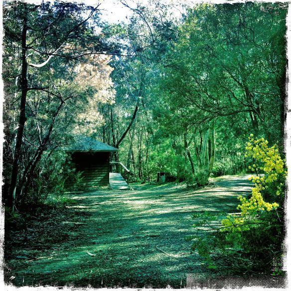 Twin Falls Bush Cottages Fitzroy Falls Δωμάτιο φωτογραφία