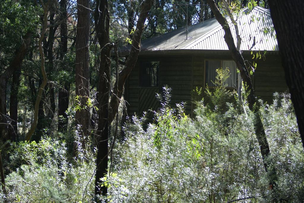 Twin Falls Bush Cottages Fitzroy Falls Εξωτερικό φωτογραφία